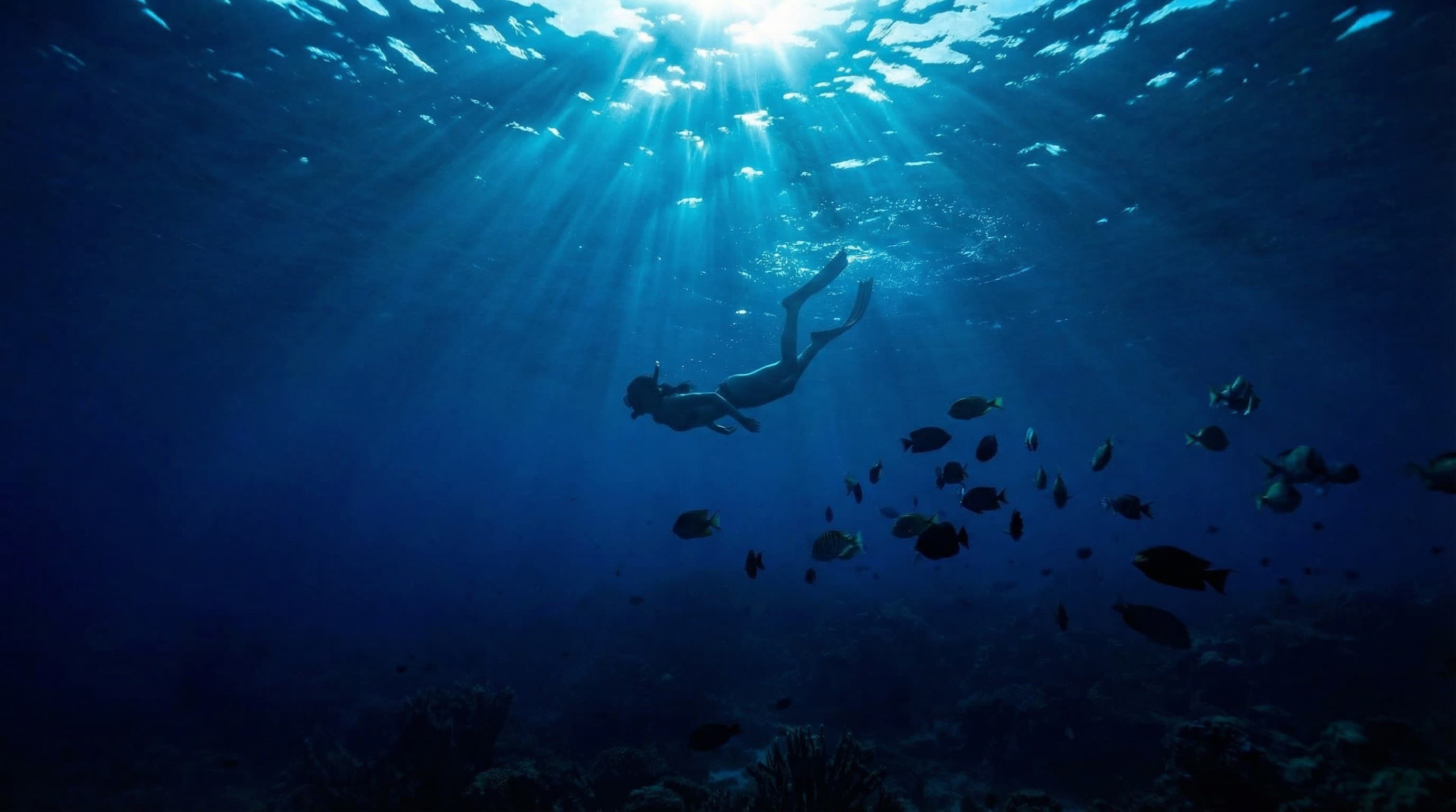 Surf and water sports